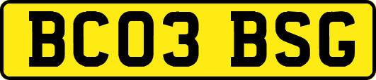 BC03BSG