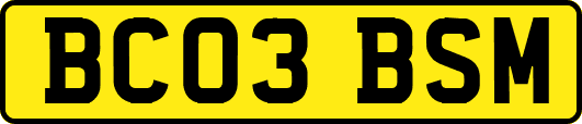 BC03BSM