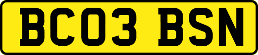 BC03BSN