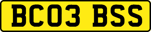 BC03BSS