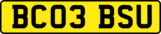 BC03BSU
