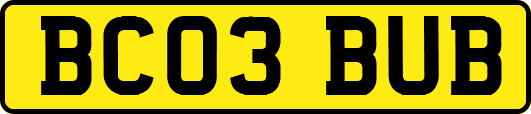 BC03BUB