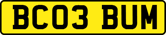BC03BUM