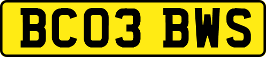 BC03BWS