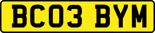 BC03BYM