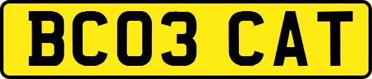 BC03CAT