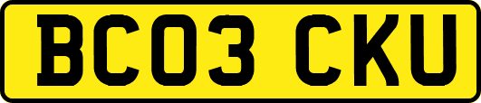 BC03CKU