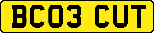 BC03CUT