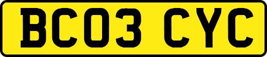 BC03CYC