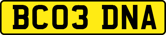 BC03DNA