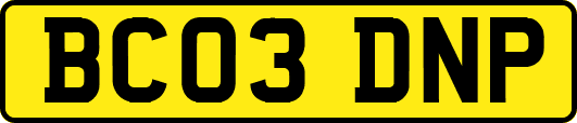 BC03DNP