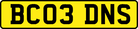 BC03DNS
