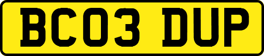 BC03DUP