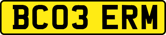BC03ERM