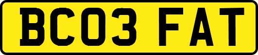 BC03FAT