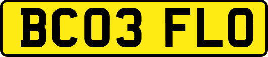 BC03FLO