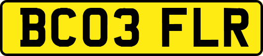 BC03FLR