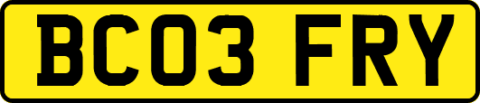 BC03FRY