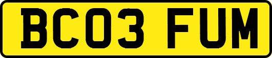 BC03FUM