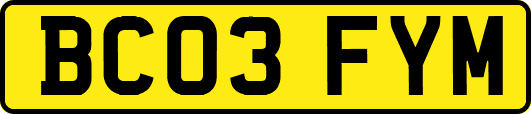 BC03FYM