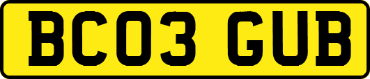 BC03GUB