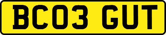 BC03GUT
