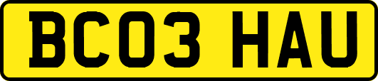 BC03HAU