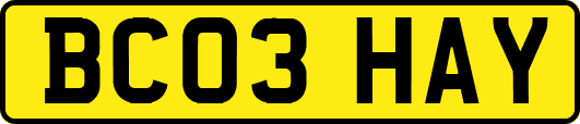 BC03HAY