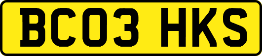 BC03HKS