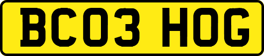 BC03HOG