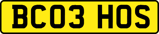 BC03HOS