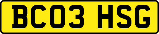BC03HSG