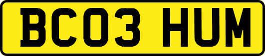 BC03HUM
