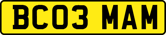 BC03MAM