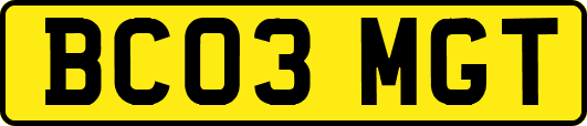 BC03MGT