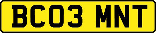BC03MNT
