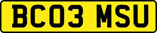 BC03MSU