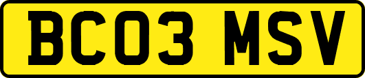 BC03MSV