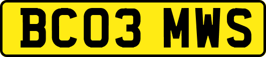 BC03MWS