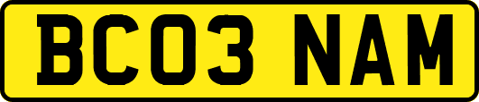 BC03NAM