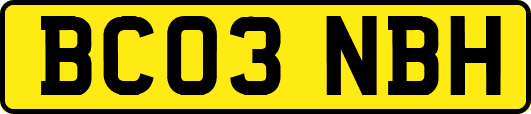 BC03NBH