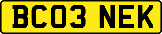 BC03NEK