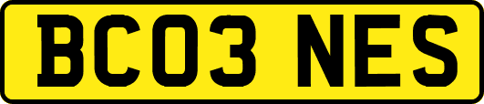 BC03NES