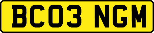 BC03NGM