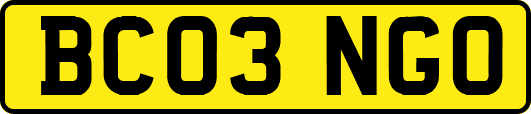 BC03NGO