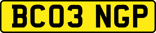 BC03NGP