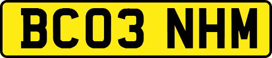 BC03NHM