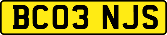 BC03NJS