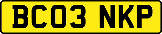 BC03NKP