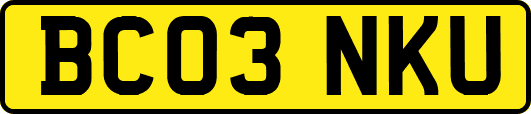 BC03NKU